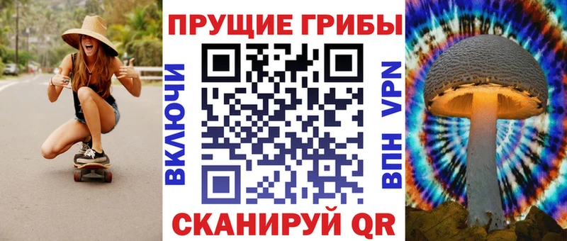 MEGA как зайти  Новоржев  Псилоцибиновые грибы MAGIC MUSHROOMS 